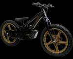 Stacyc 18eDrive