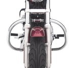 Sportster XL Engine Guard